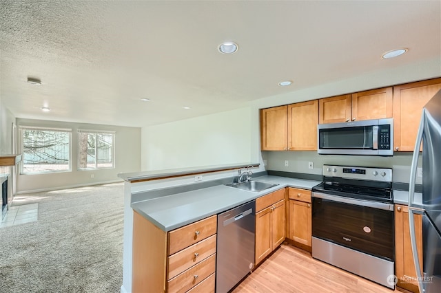 kitchen with sink, kitchen peninsula, and stainless steel appliances