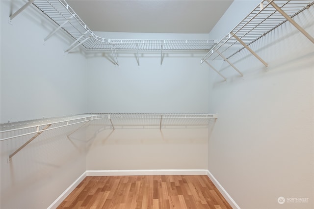 spacious closet featuring hardwood / wood-style floors