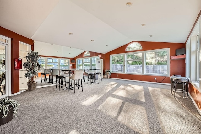 interior space with lofted ceiling