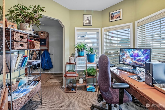 office featuring plenty of natural light