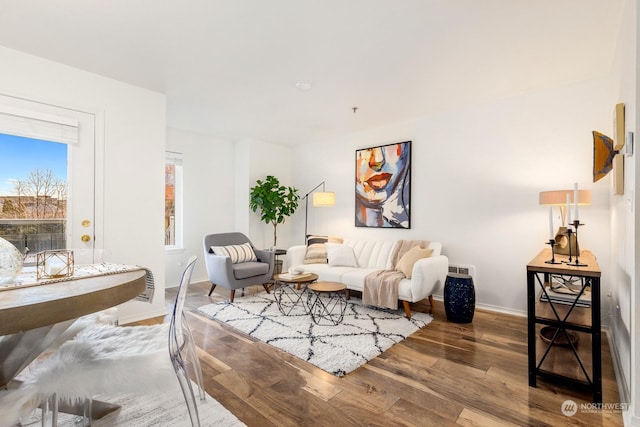 living room with wood-type flooring