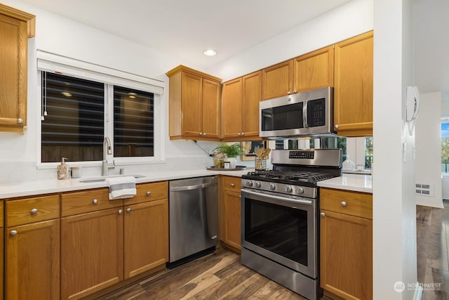 kitchen featuring sink, stainless steel appliances, and dark hardwood / wood-style flooring