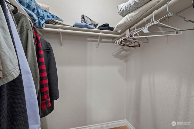 view of spacious closet