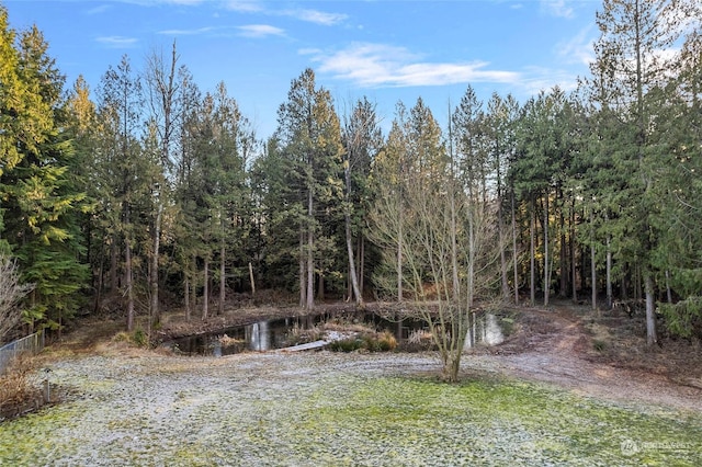 view of local wilderness featuring a water view