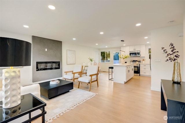 living room featuring a large fireplace and light hardwood / wood-style floors