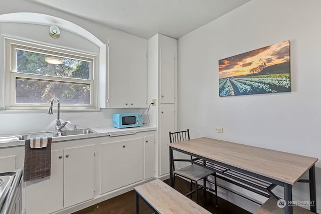 kitchen with white cabinets and sink