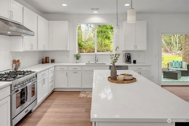 kitchen with a sink, light wood-type flooring, high end stove, plenty of natural light, and under cabinet range hood