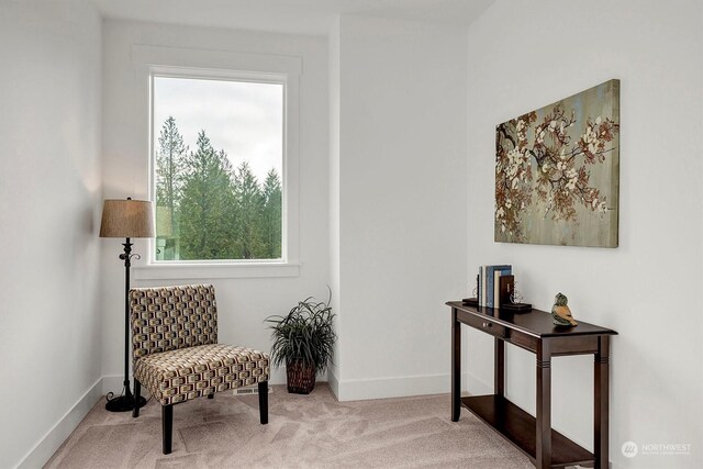 sitting room featuring carpet flooring and baseboards