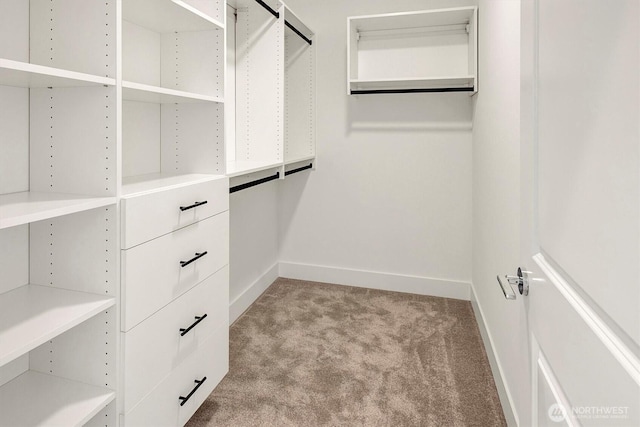 17018 106th Ave SE Unit 11, Renton, WA 98055 - walk in closet featuring light carpet