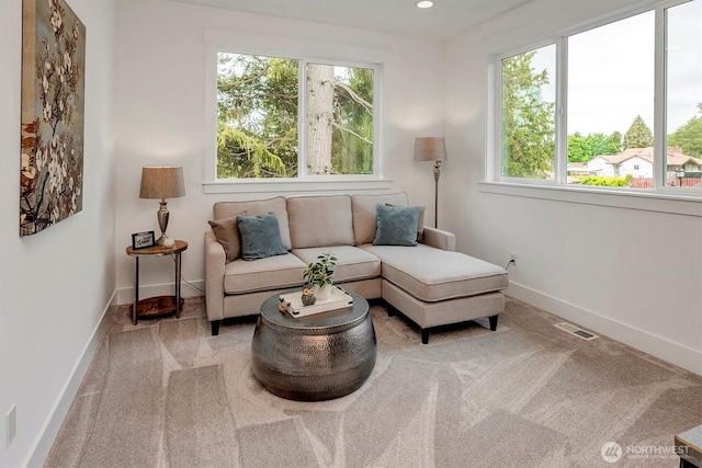 17018 106th Ave SE Unit 11, Renton, WA 98055 - living area with plenty of natural light, baseboards, carpet floors, and recessed lighting