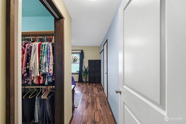 spacious closet featuring dark wood-type flooring