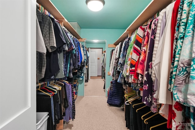 walk in closet featuring carpet