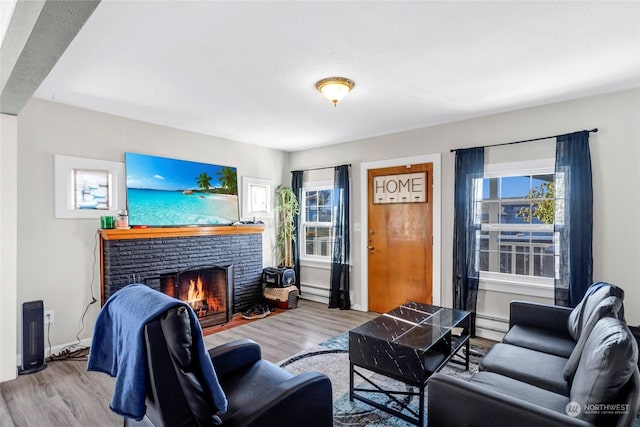 living room with a fireplace and light hardwood / wood-style flooring