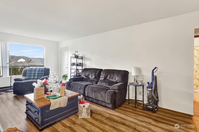 living room featuring a baseboard radiator and wood-type flooring