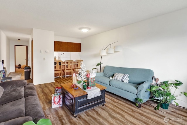 living room featuring dark hardwood / wood-style flooring