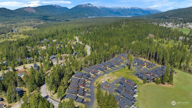 drone / aerial view with a mountain view