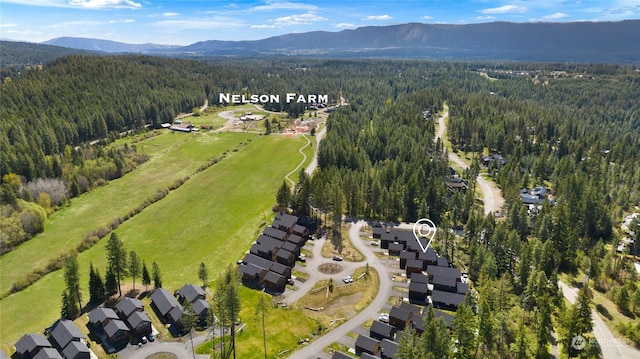 birds eye view of property featuring a mountain view