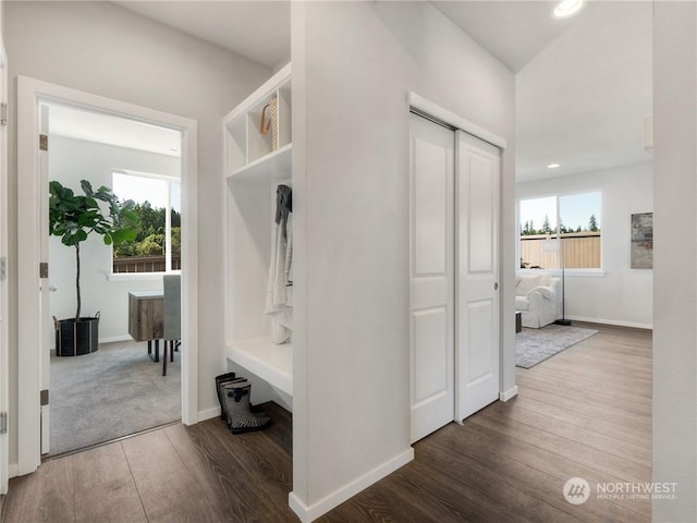 mudroom with plenty of natural light and dark hardwood / wood-style flooring