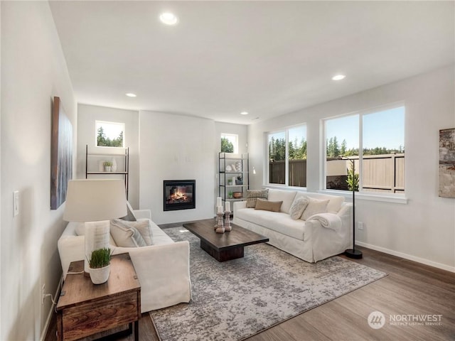 living room featuring wood-type flooring