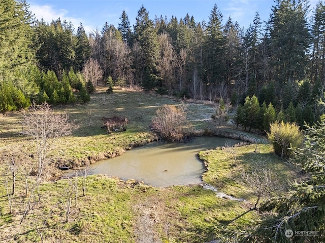 22214 Zenker Valley Rd SW, Centralia, WA 98531 - view of yard