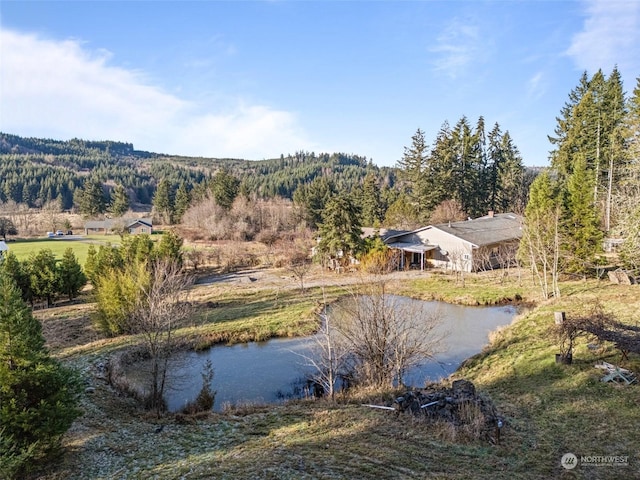 22214 Zenker Valley Rd SW, Centralia, WA 98531 - property view of water