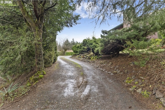 153 Lakeview Dr, Mossyrock, WA 98564 - photo 30