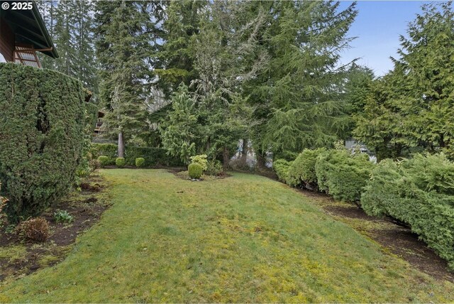 153 Lakeview Dr, Mossyrock, WA 98564 - photo 34