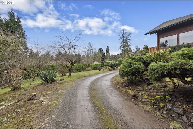 153 Lakeview Dr, Mossyrock, WA 98564 - photo 35