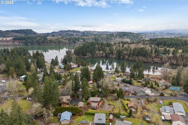 153 Lakeview Dr, Mossyrock, WA 98564 - photo 38