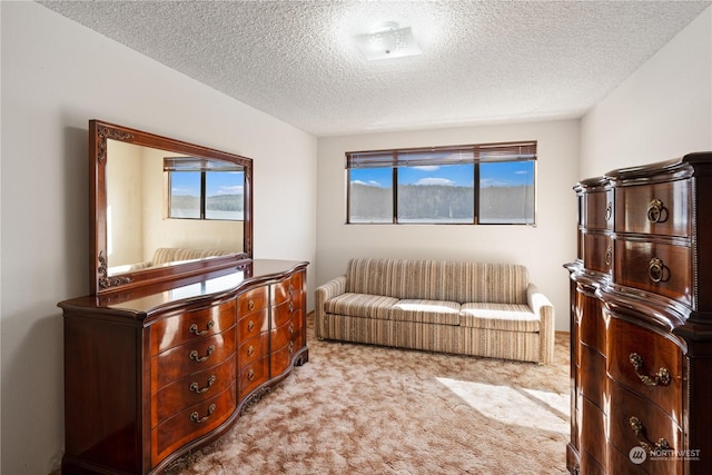 sitting room with light colored carpet and a textured ceiling