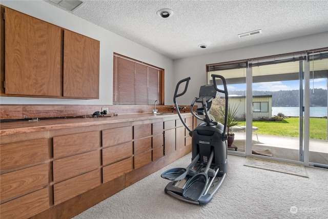 workout room featuring light colored carpet, a textured ceiling, sink, and a water view