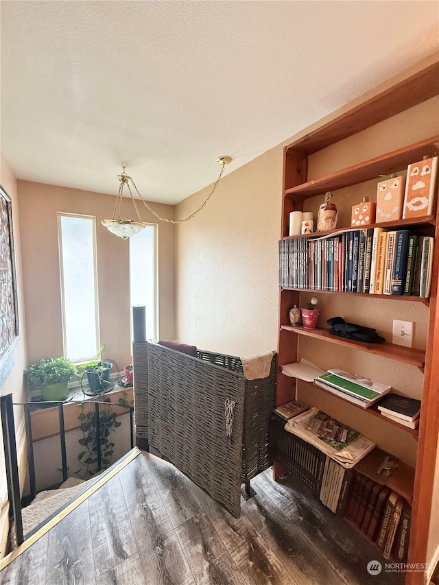 interior space featuring dark wood-type flooring