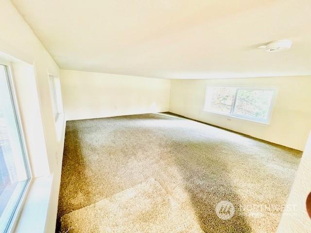 unfurnished room with carpet flooring