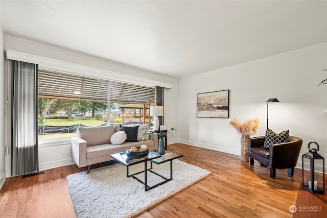 living room featuring wood-type flooring