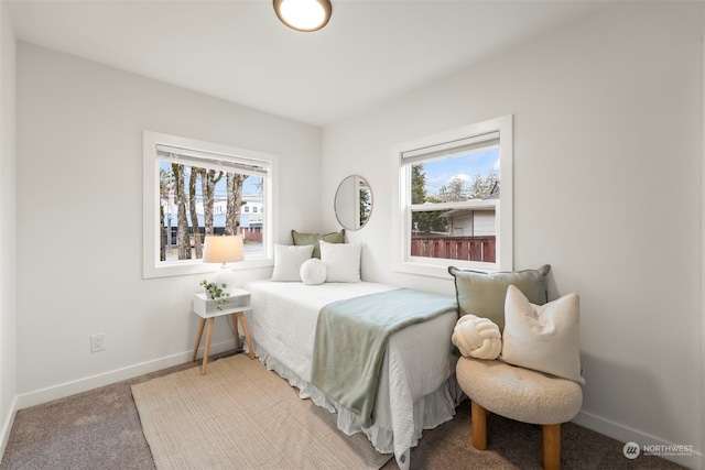 carpeted bedroom with multiple windows