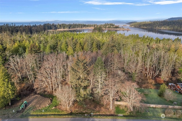 Listing photo 3 for 0XXX Deception Cir, Oak Harbor WA 98277