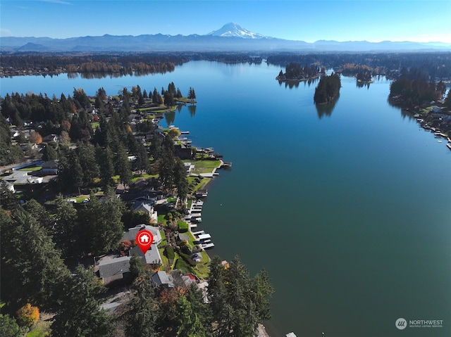 drone / aerial view featuring a water and mountain view