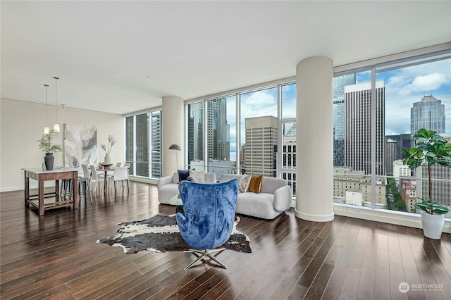 living room with a wall of windows and dark hardwood / wood-style flooring