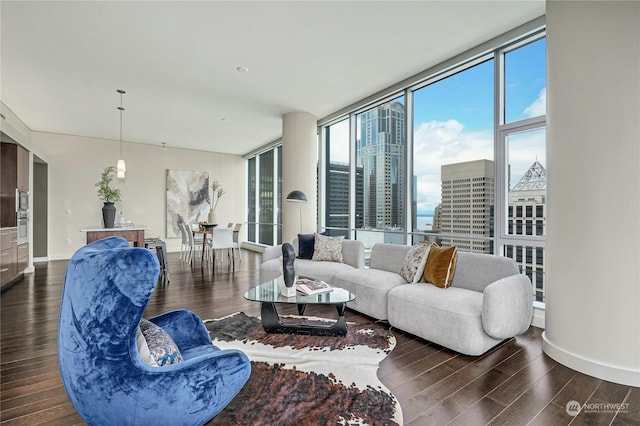 living room featuring dark wood-type flooring, a wealth of natural light, and expansive windows