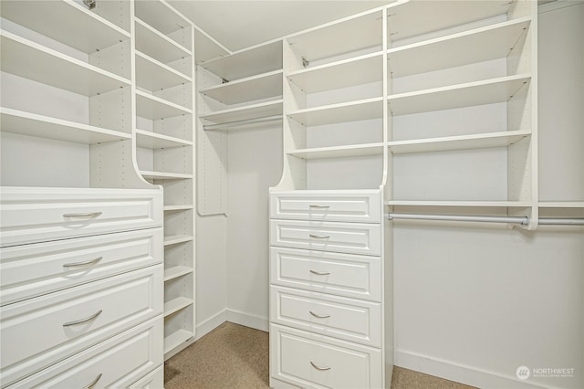 spacious closet featuring light colored carpet