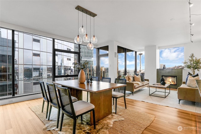 dining area with light hardwood / wood-style flooring, floor to ceiling windows, and a tiled fireplace