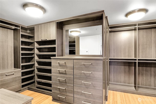 walk in closet with light wood-type flooring