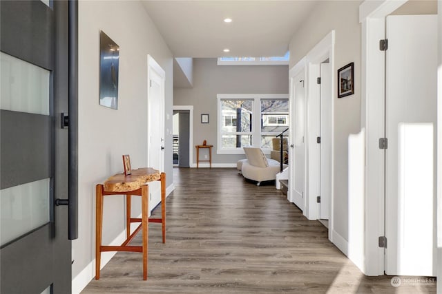 hallway featuring dark wood-type flooring