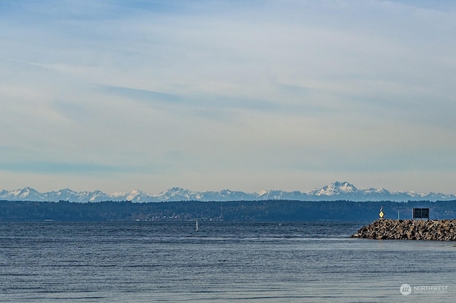 water view with a mountain view