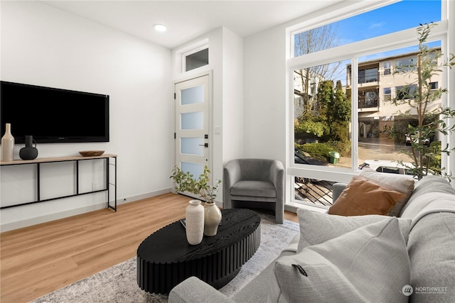 living room featuring hardwood / wood-style floors