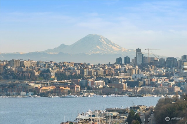 water view with a mountain view