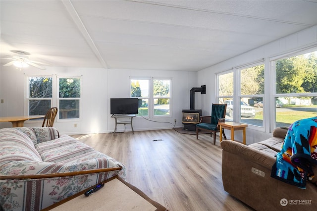 living room featuring a wood stove and light hardwood / wood-style floors