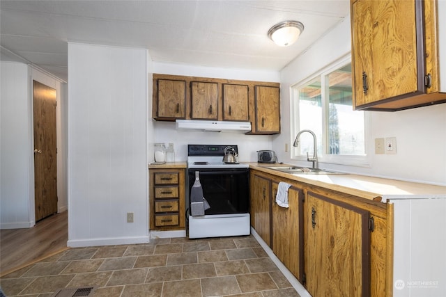 kitchen featuring range with electric cooktop and sink