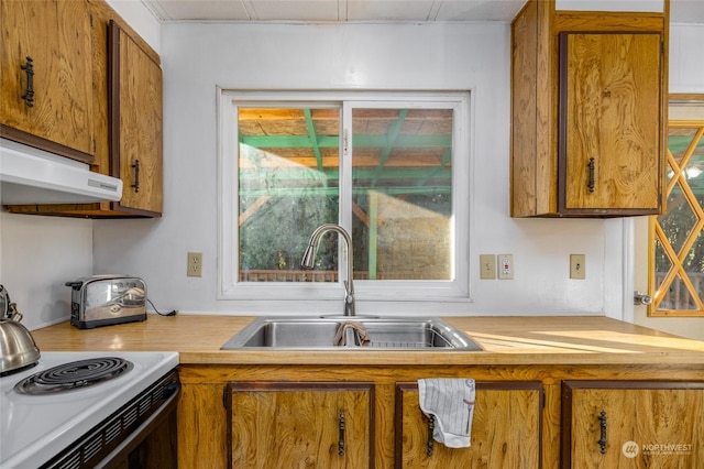 kitchen featuring sink and electric range oven