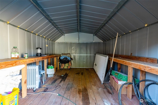 storage room with radiator